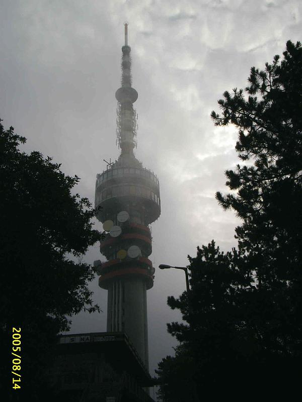 PIC_0139t.JPG