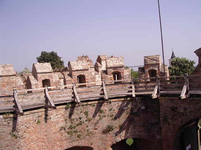 IMGP0334t.JPG