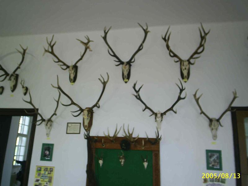 PIC_0063t.JPG